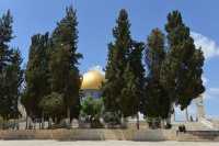12 Le dôme de la roche (7°s.) remplace l'autel des holocaustes, au sommet de la montagne du Temple