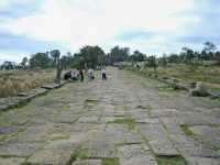 10-Première allée à piliers*