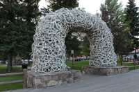 42 Jackson Hole (Arche à la gloire des Wapitis)