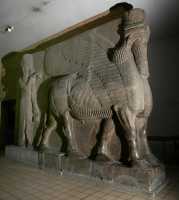 591 - Khorsabad - Taureau ailé androcéphale