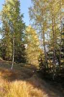 30 Vers les chalets de Chailloux