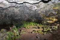 07 Grotte d'Ana Te Pahu