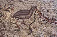 17 Mosaïque - Poule d'eau