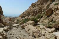 16 Ruisseau, sentier et Mer Morte