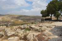 53 Le champ des bergers