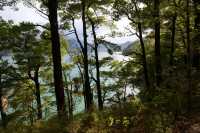 097 Queen Charlotte Sound - Anakiwa B