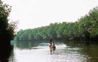 422 Puerto San José - Canal de Chiquimulilla