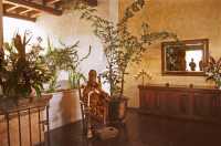 442 Antigua Guatemala - Hôtel