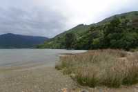 101 Queen Charlotte Sound