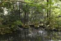 48 Temple Nanzen-ji (Jardin)