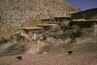 345 Village kurde de Horik