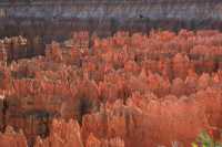 30 Sunset Point (2630)