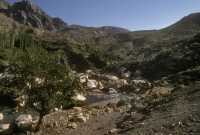 342 Arsaméia (Eski Kale)