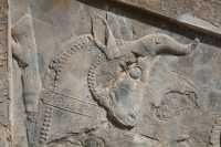 053 alais de Darius B *