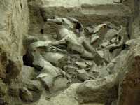 005 Fosse 2 - Chevaux