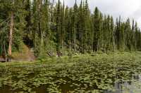 064 Craig Pass (2518m)