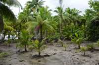 079 Entre Fetuna et Vaiaau