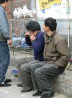 033 Marchand de pigeons