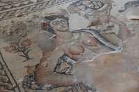 032 Maison du Nil - Mosaïque du Nil - L'Egypte