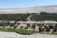 60 Vallée de Azapa vue de la Pukara San Lorenzo