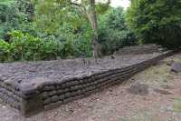 48  Marae Ahu O Mahine (Vallée d'Opunohu)