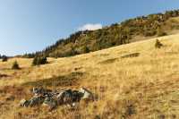 40 Les chalets de Chailloux