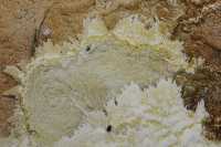 34 Mammoth Hot Spring Terraces