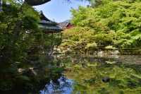 56 Temple Nanzen-ji (Jardin)