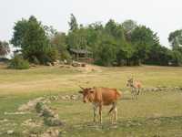 11-Mébon Occidental *