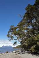 17 Plage près du glacier Aguila