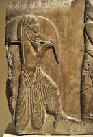 24 Procession du tribut royal - Persépolis - Règne d'Artaxerxes III (358-338)