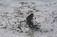 41 Fountain Paint Pot