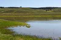 057 Yellowstone River (Nord de Lake Village) B