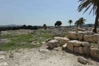 47 Palais sud (10°-9°s)