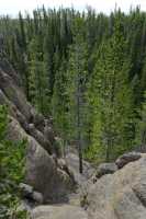 56 Gibbon River (près de Virginia Cascade)