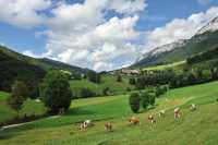 072 Sud de Rencurels