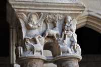 88 Cloître de St Guilhem du Désert - Annonce aux bergers