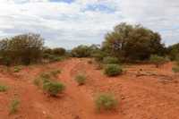 07 Mereenie Loop Road