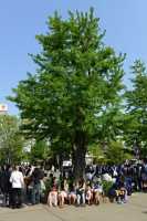 088 Tokyo - Temple d'Asakusa Kannon (Visiteurs)