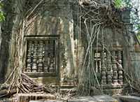 43-Balustres-racines *