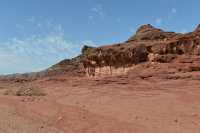 043 Près du champignon