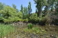 03 Panéas, aux sources du Jourdain