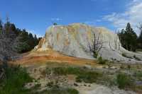 64 Orange Spring Mound