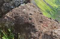 55 Pétroglyphes au lieu dit Mata Ngarahu