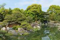 034 Château Nijo-jo (Parc)