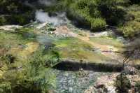 109  Source chaude et terrasse de silice (dite du nid d'oiseau) B