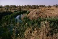 335 Babylone -  Ziggurat E-Téménanki