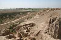 051 Suse - Ville royale B *