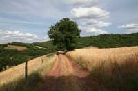 32 - Nord de Sylvanès.jpg