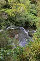 133 Torrent (près de Purakaunui Falls)